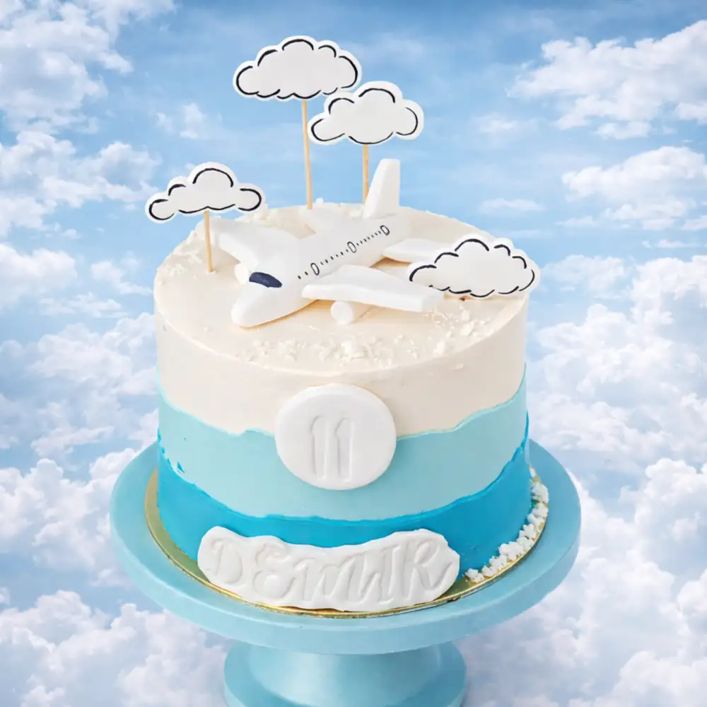 Sky Clouds Airplane Cake - TF Cakes Online Delivery Freshly baked handcrafted Sky Clouds Airplane Cake – Cake design by TF Cakes